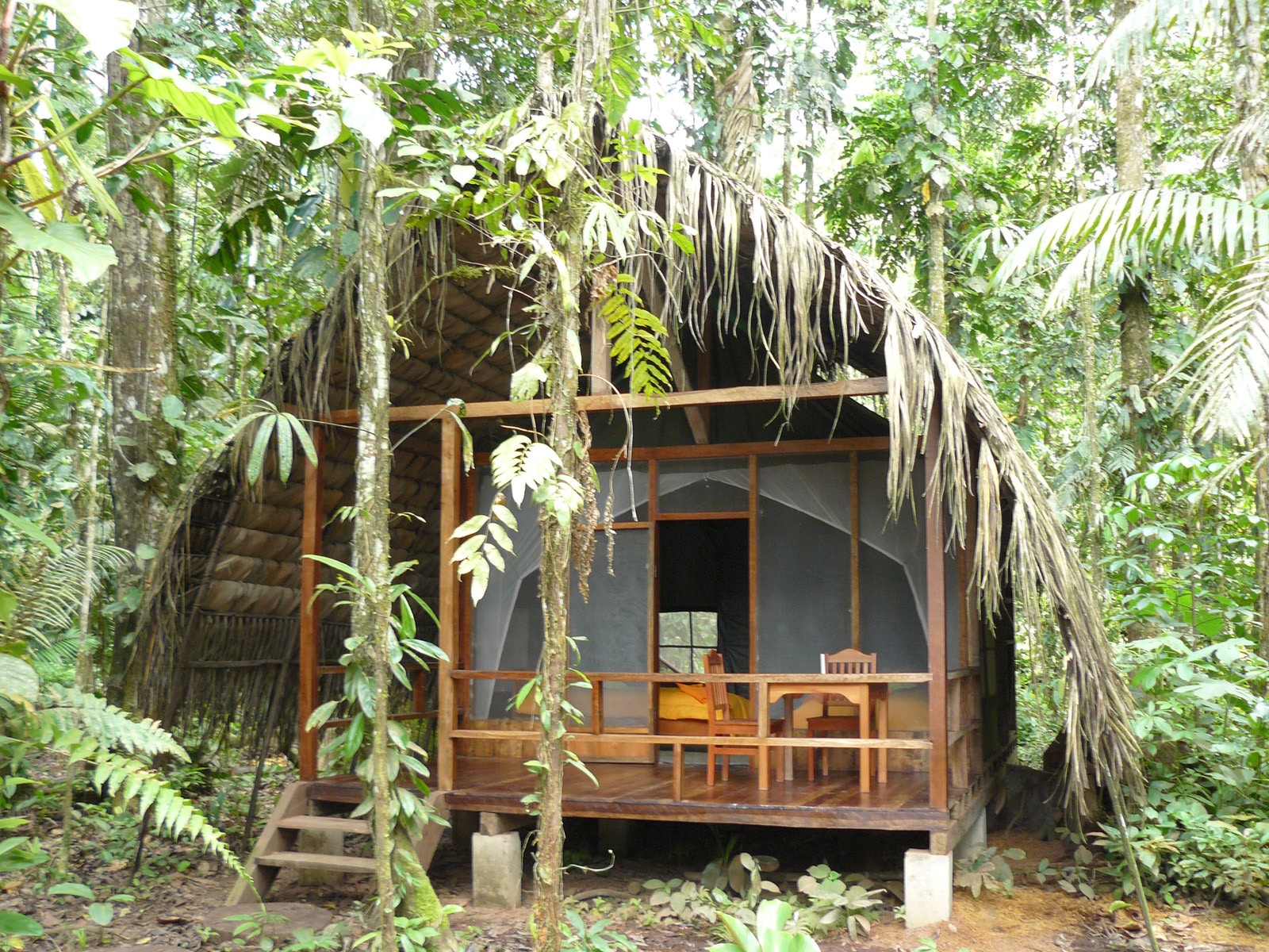 Huaorani Características Lengua Costumbres Y Mucho Más