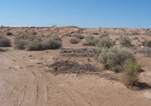 LOS HOHOKAM CULTURAS ARQUEOLÓGICAS DE OASISAMÉRICA