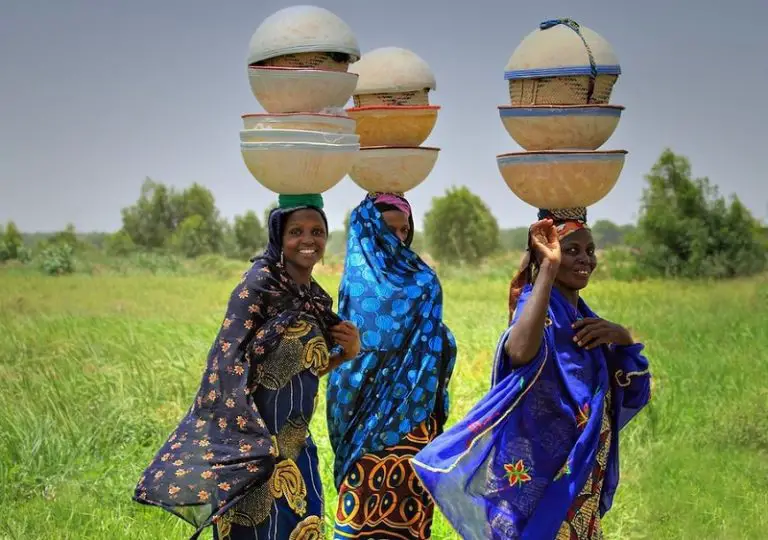 Aprende Todo Sobre Los Fulani y mucho mas de ellos