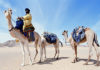 Todo Sobre los Tuareg: significado, vestimenta, costumbres y más!