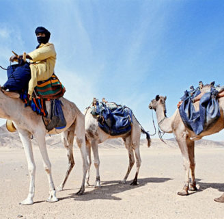 Todo Sobre los Tuareg: significado, vestimenta, costumbres y más!