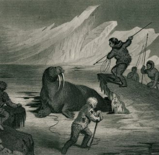 Inuit: Significado, cultura, costumbre y mucho más sobre los esquimales