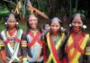 kayapo: Historia, Ubicación, Lengua y mas