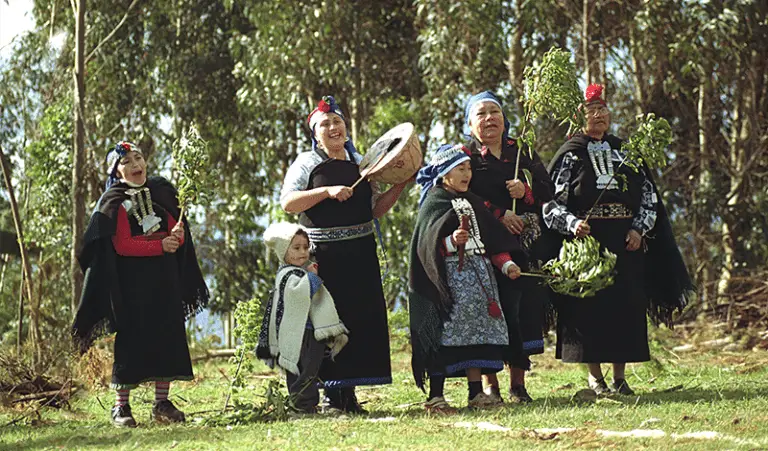 mapuches-origen-e-historia-caracter-sticas-significado-y-m-s
