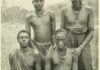 Aprende todo sobre los tutsi