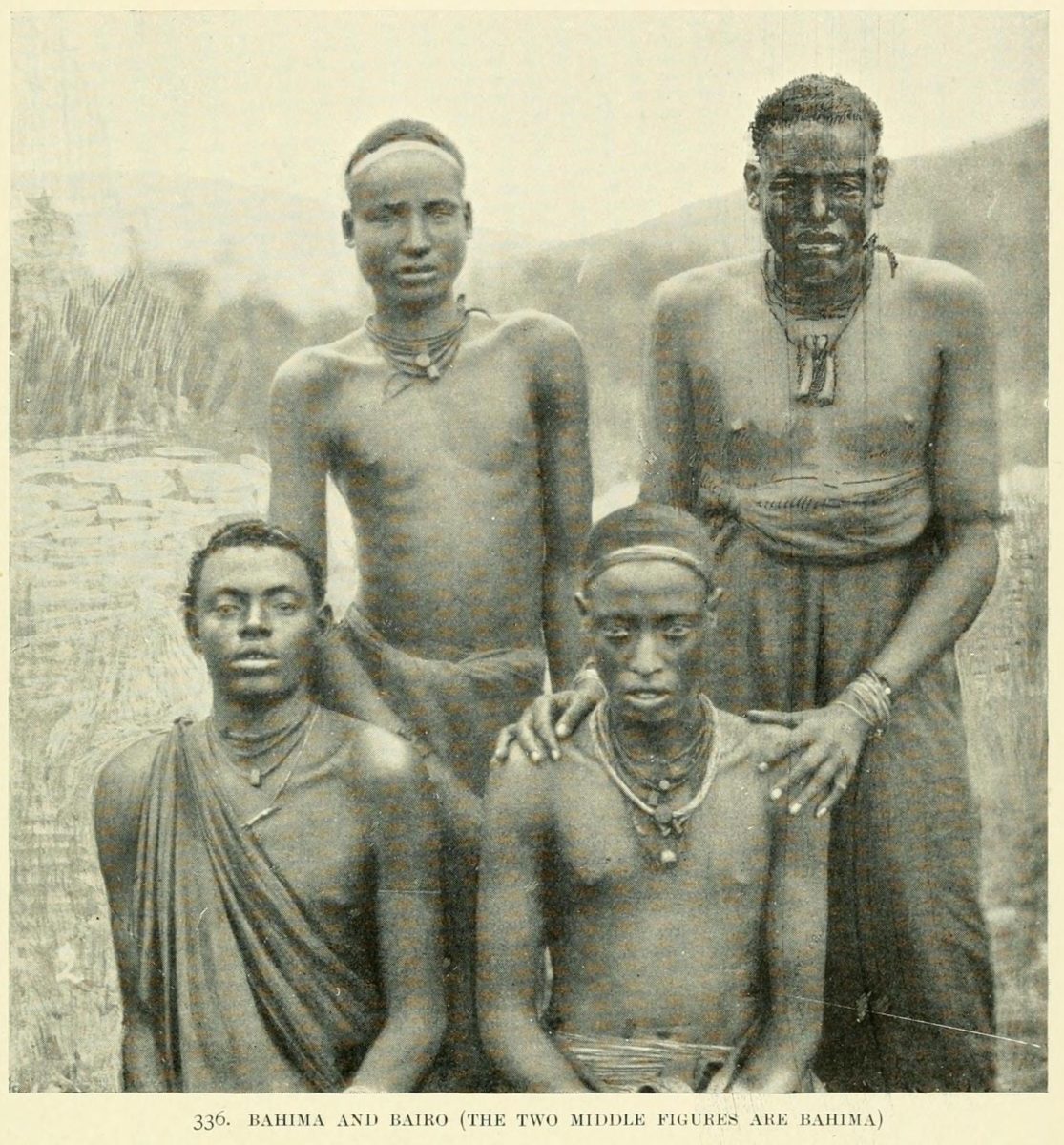 tutsi y mas
