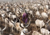 La tribu Dinka, la cultura del ganado en Sudán del Sur