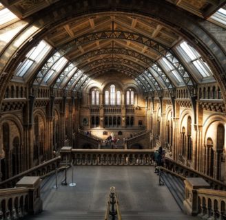 Todo lo que deberías saber de el Museo de Historia Natural de Londres