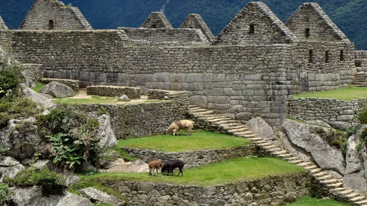 cultura Inca